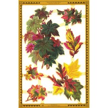 Autumn Leaf Scraps ~ England